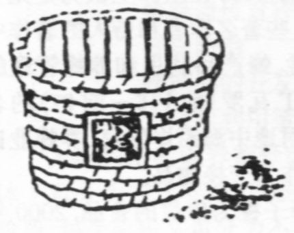 55.jpg