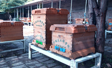 in02.jpg