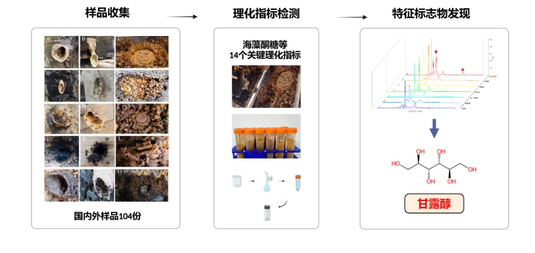 文章图片4.png